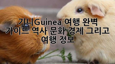 기니(Guinea) 여행 완벽 가이드: 역사, 문화, 경제, 그리고 여행 정보