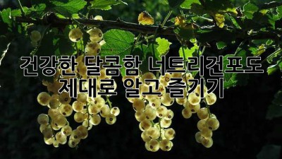 건강한 달콤함, 너트리건포도 제대로 알고 즐기기